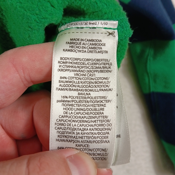 Polo by Ralph Lauren Green and Navy Hoodie - Picture 3 of 11